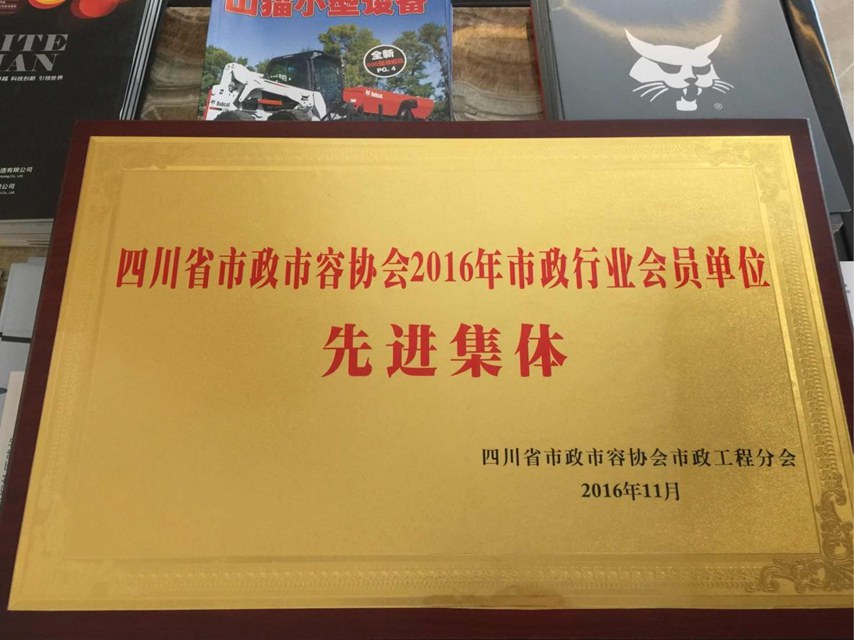 市政市容协会会员先进集体